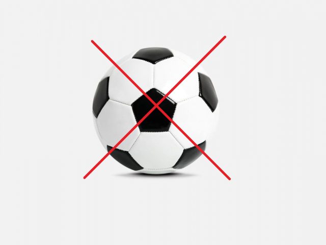 https://www.nd-slovan.si/wp-content/uploads/2020/10/zoga-1-640x480.jpg